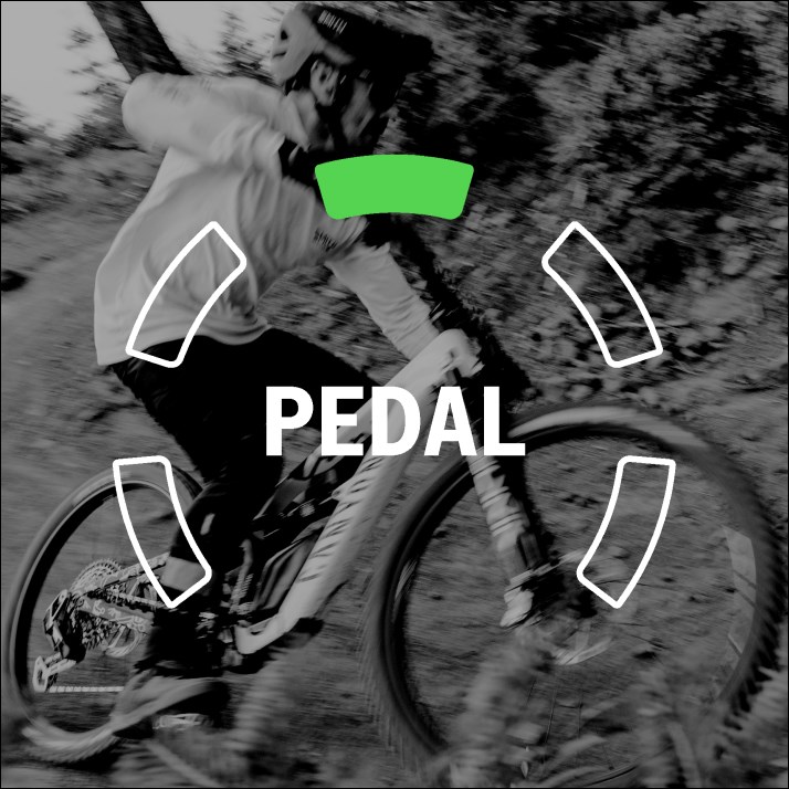 PEDAL