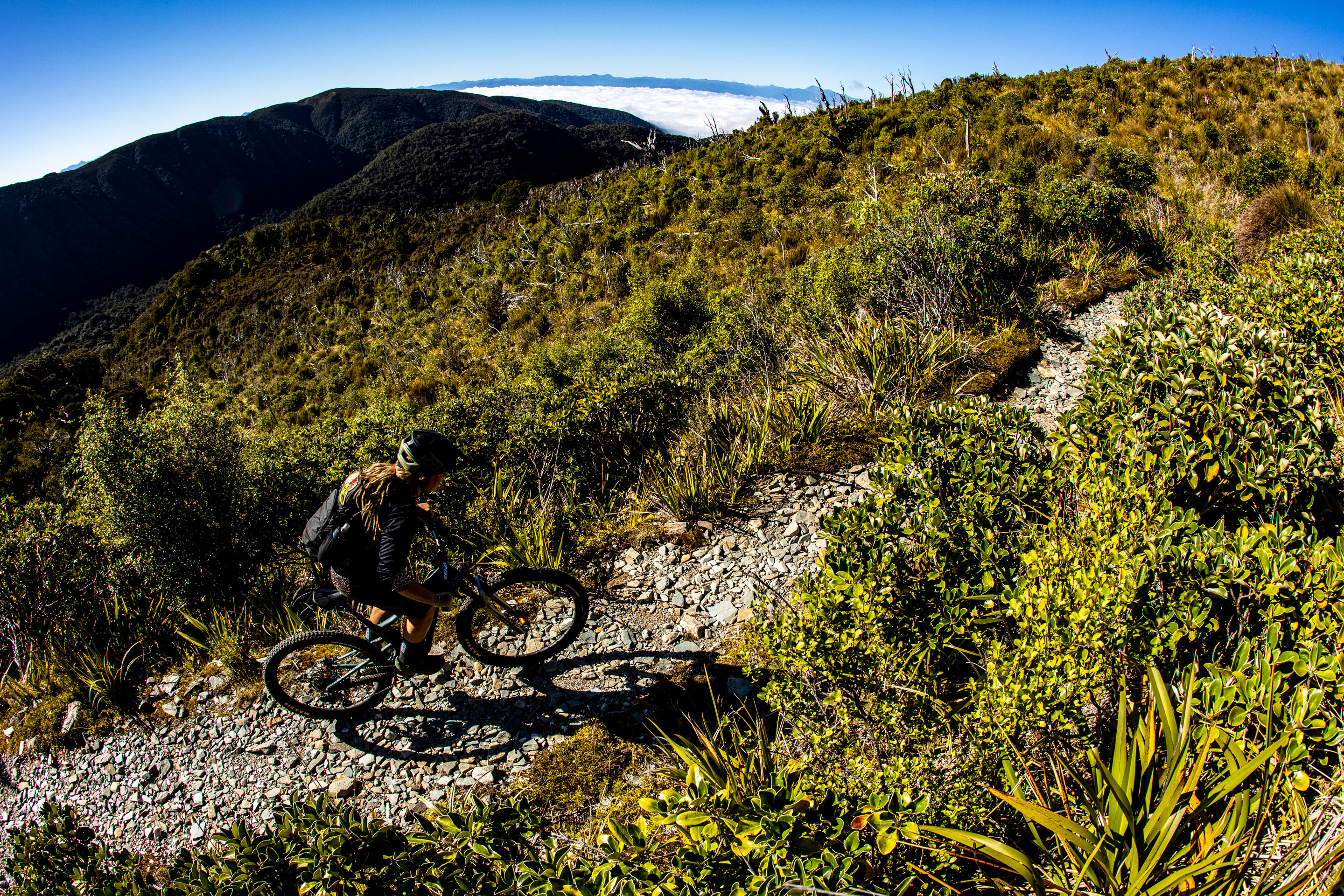 Paparoa mtb track hot sale