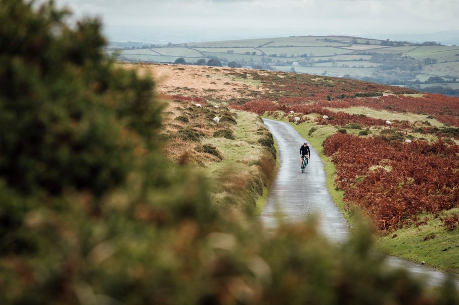 Dartmoor - Image Gallery