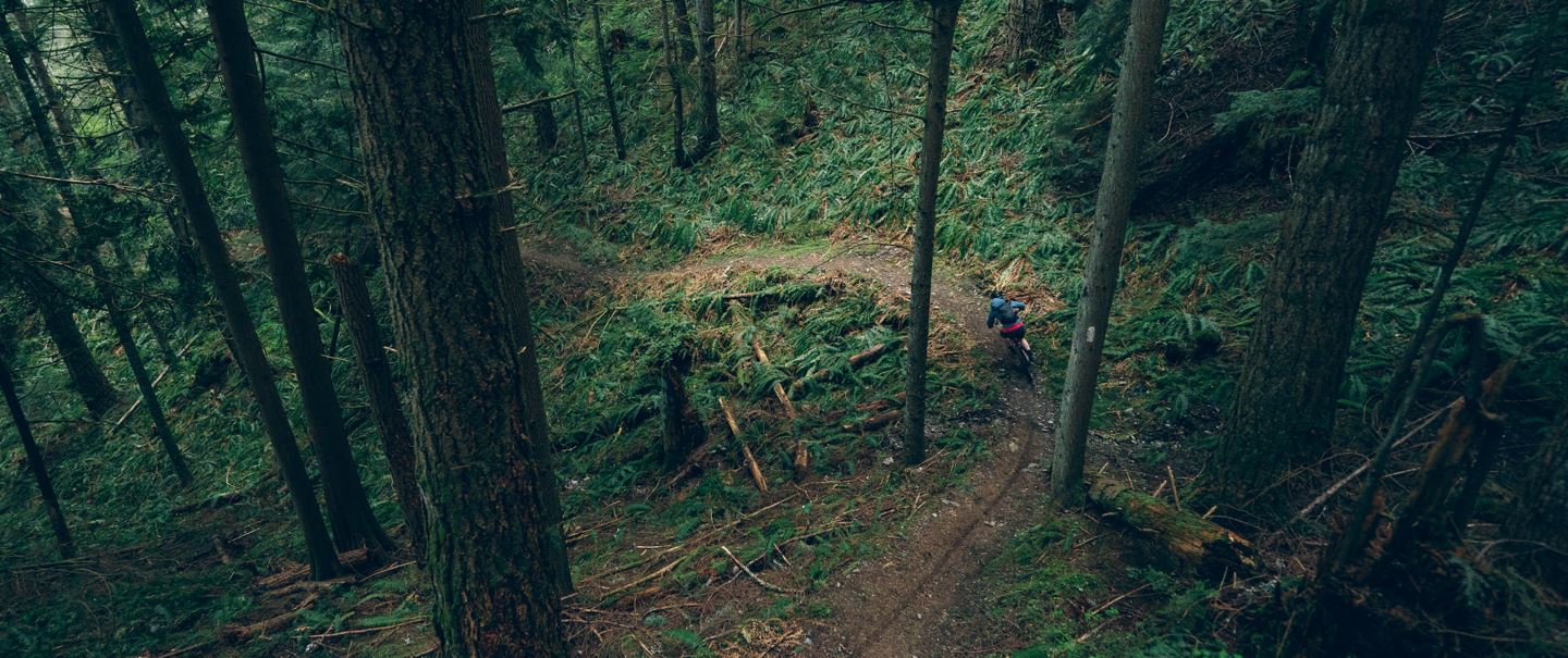 Brett Phelan riding a winding trail in the forest
